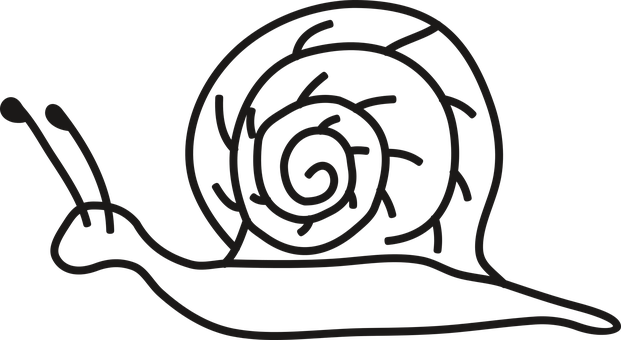 Simplified Snail Silhouette