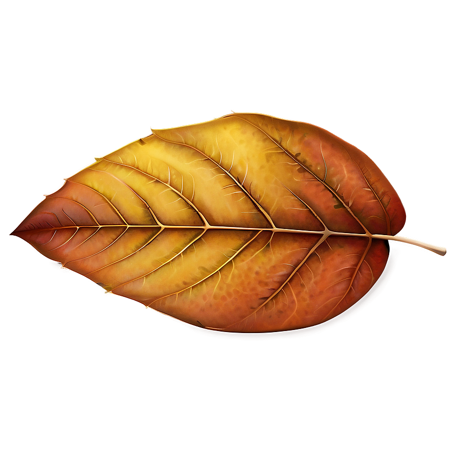 Single Autumn Leaf Png Hup12