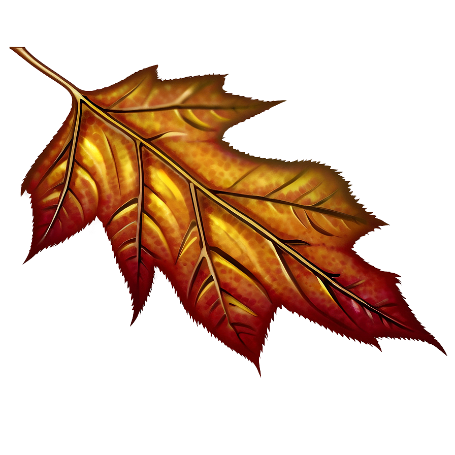 Single Fall Leaf Png Qeg