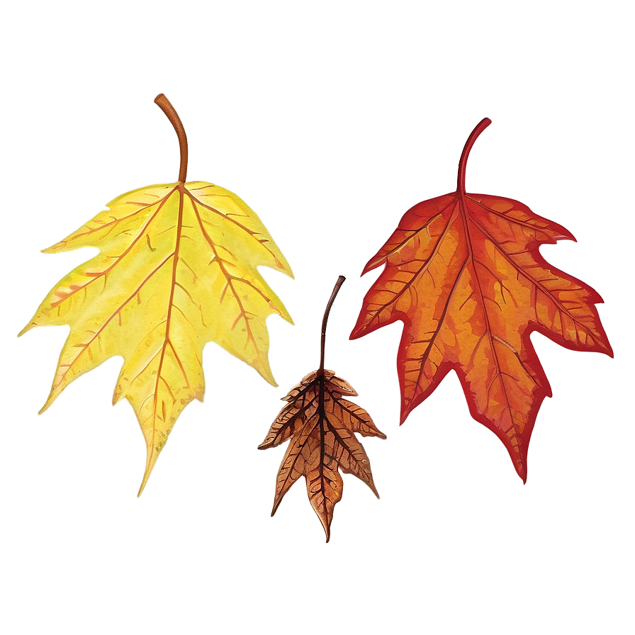 Single Fall Leaf Png Rhv