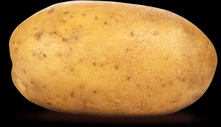 Single Fresh Potato Isolated