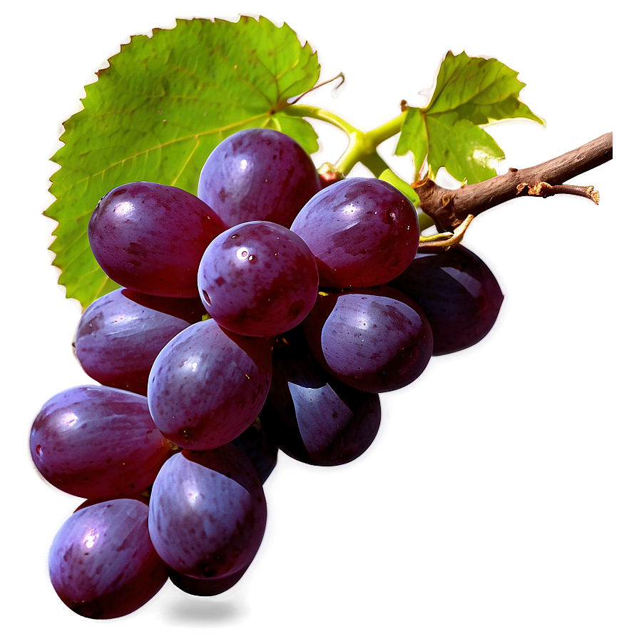 Single Grape Close-up Png 06292024