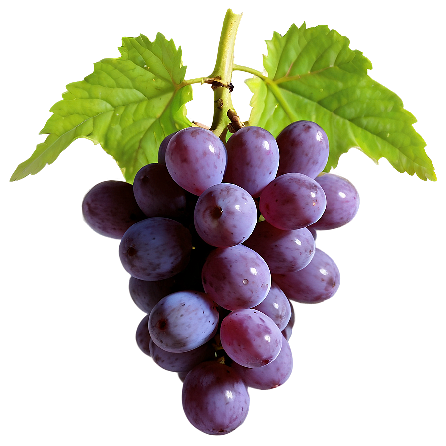 Single Grape Close-up Png 15