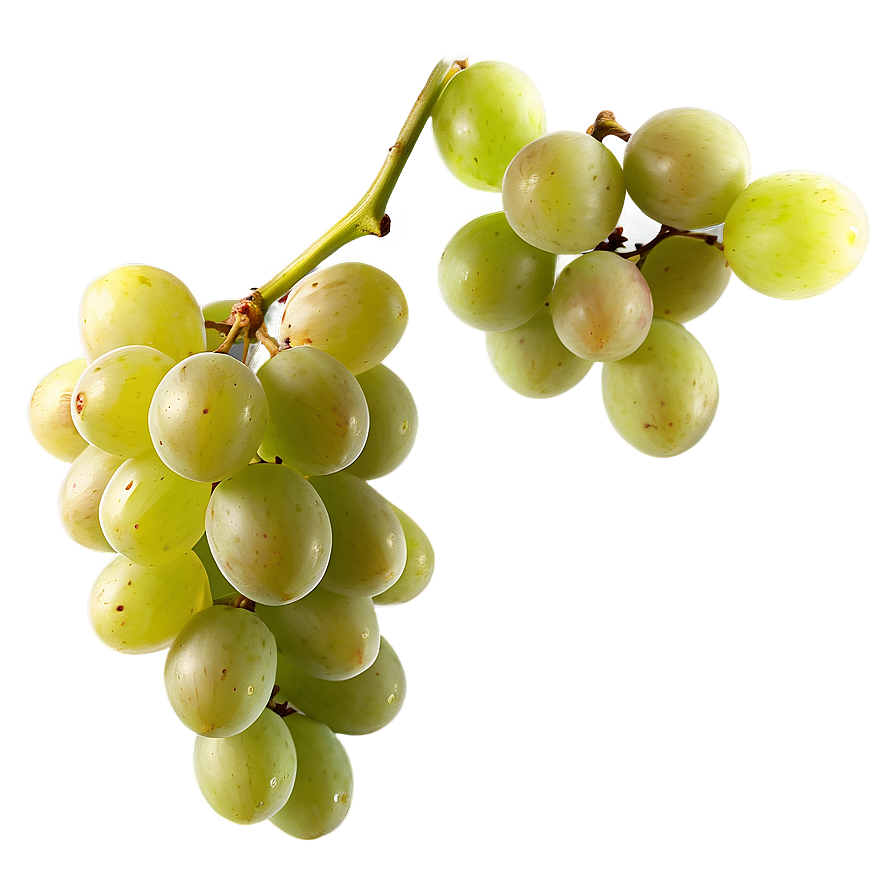 Single Grape In Sunlight Png Bva60