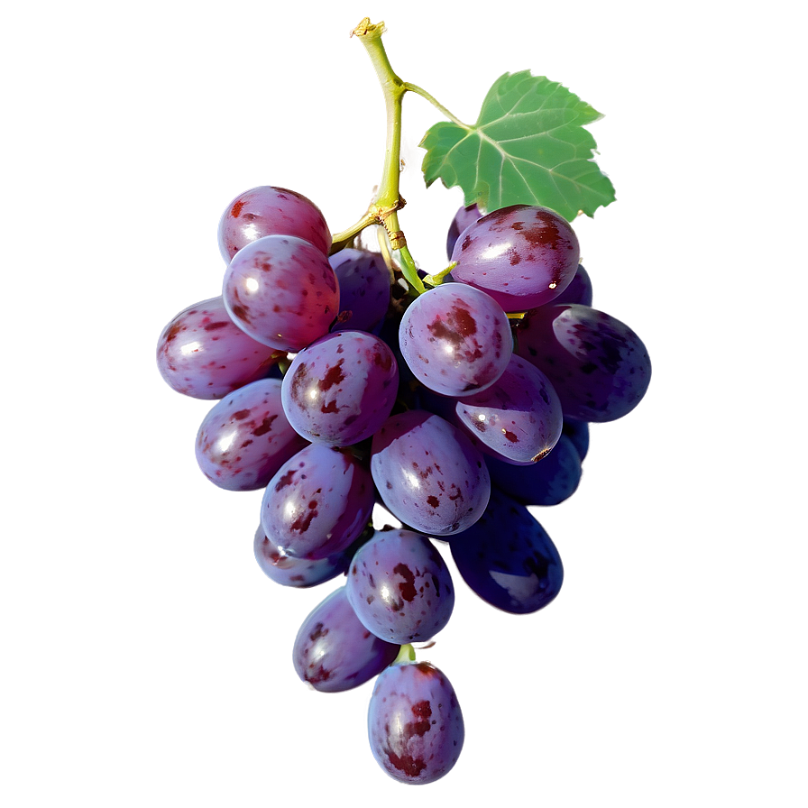 Single Grape Isolated Png 55