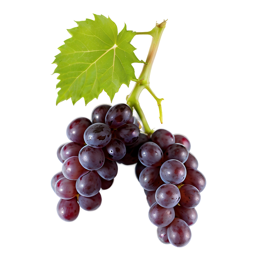 Single Grape Isolated Png Wuh