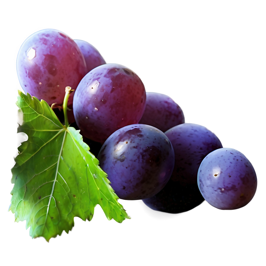 Single Grape No Background Png 77