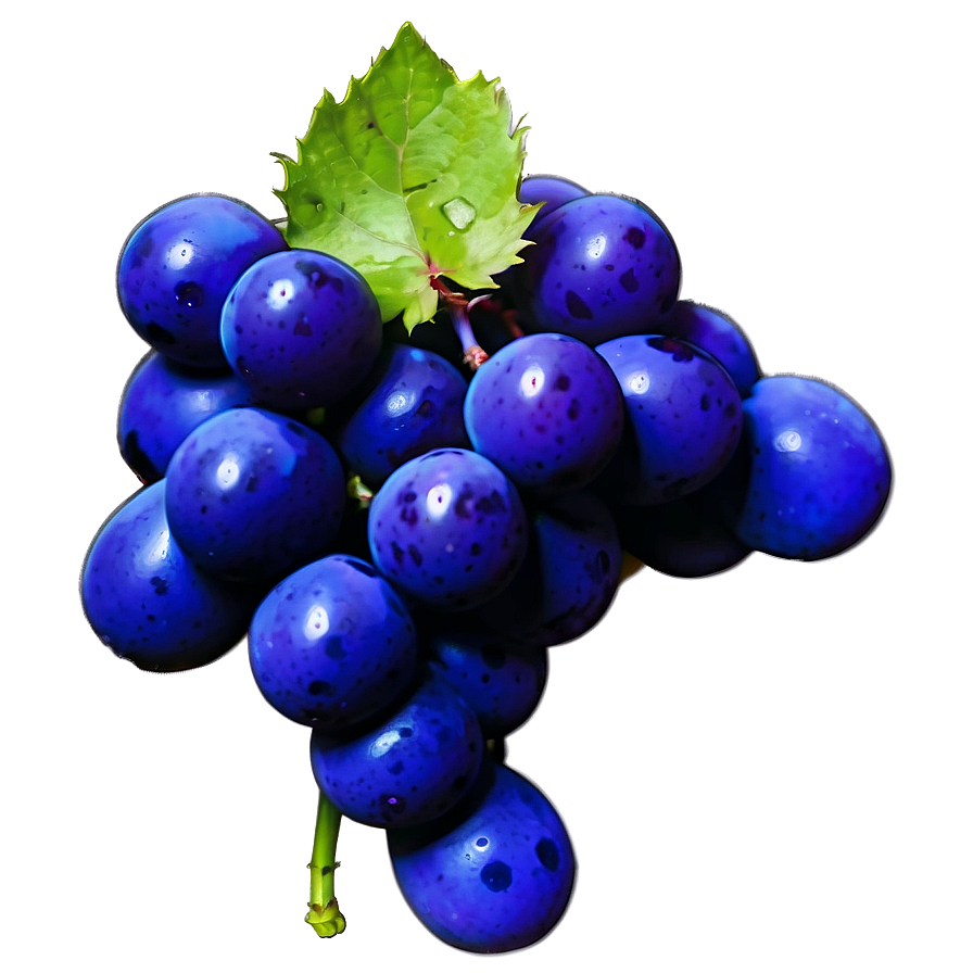 Single Grape On White Png 84