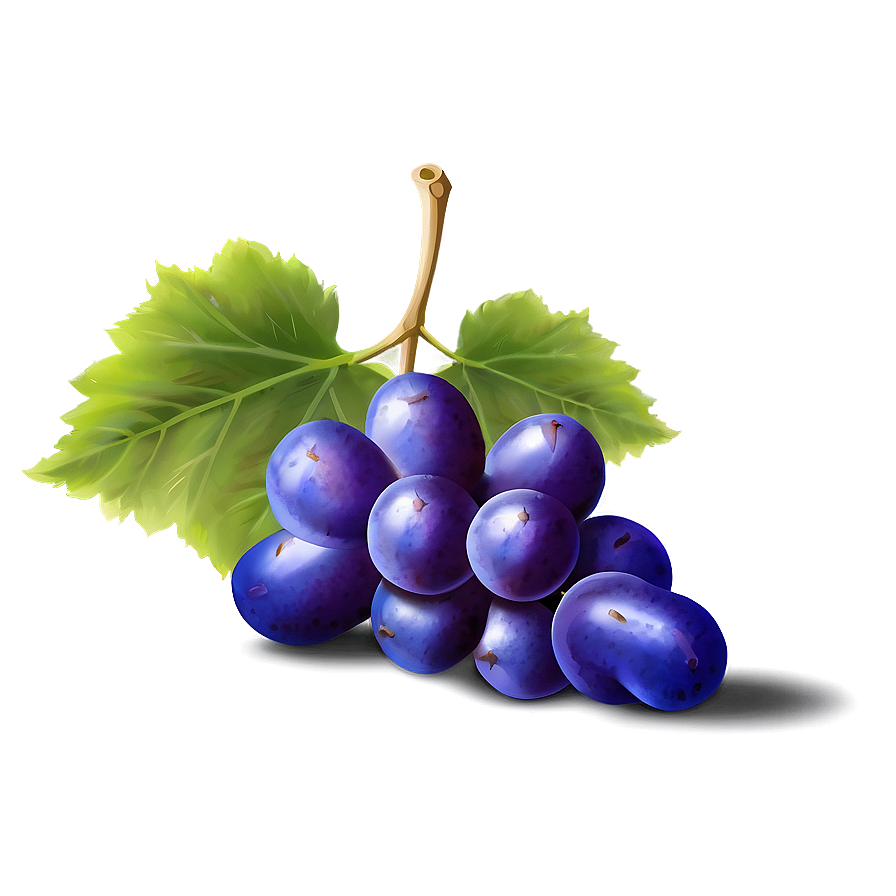 Single Grape Png Hrr