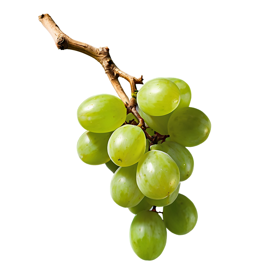 Single Grape Side View Png Edf