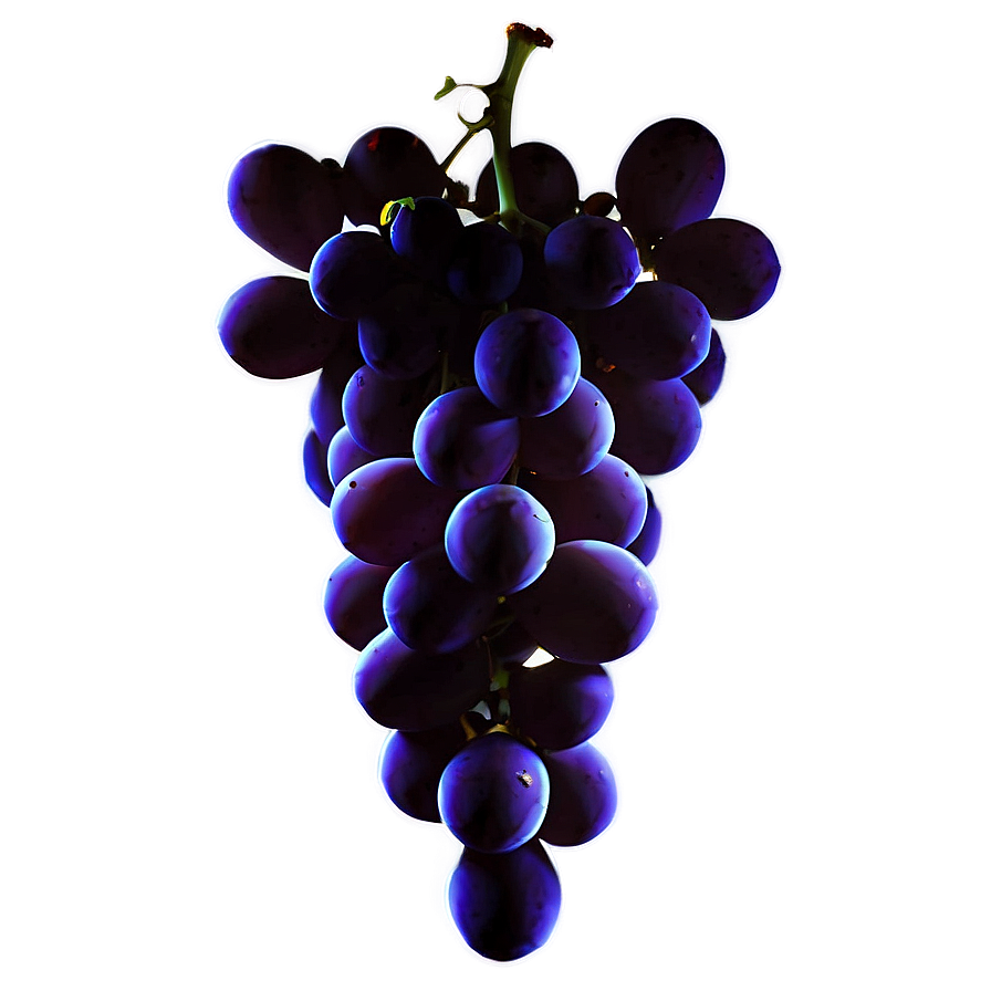 Single Grape Silhouette Png Nch