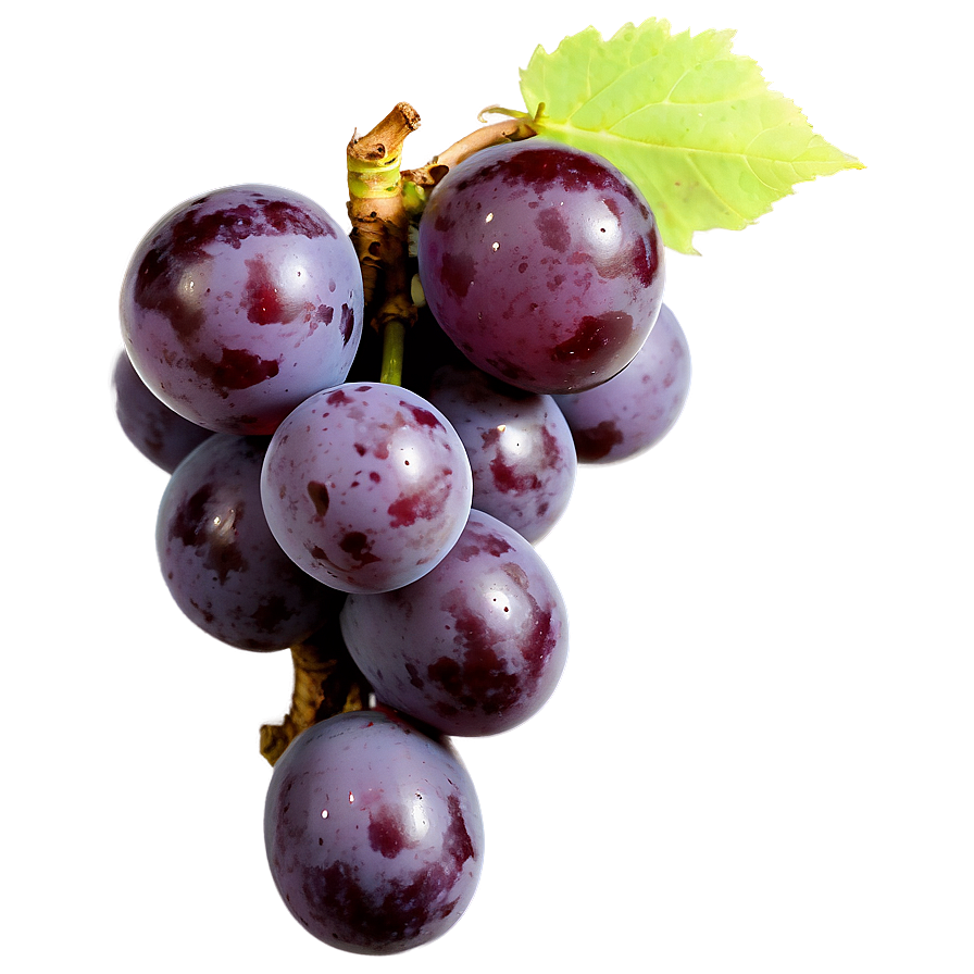 Single Grape Top View Png 6