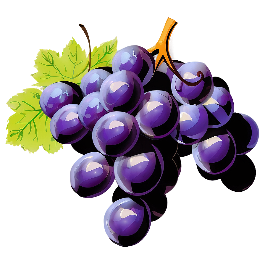 Single Grape Vector Png 06292024