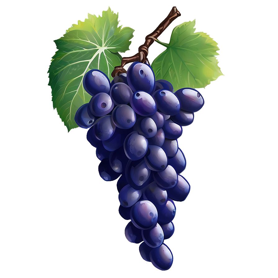 Single Grape With Detail Png Jpk