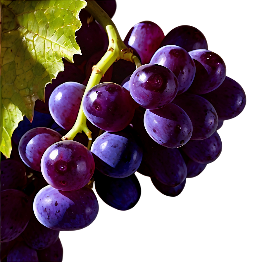 Single Grape With Detail Png Shy57