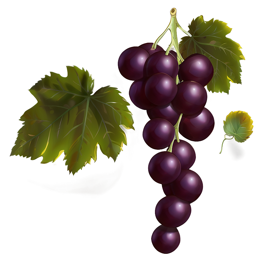 Single Grape With Leaf Png 93