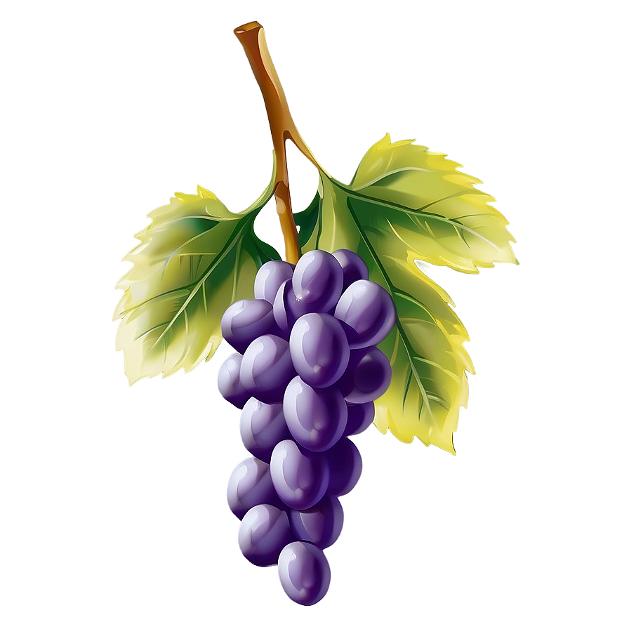 Single Grape With Leaf Png Cvo35