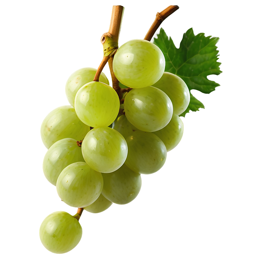 Single Grape With Stem Png 06292024