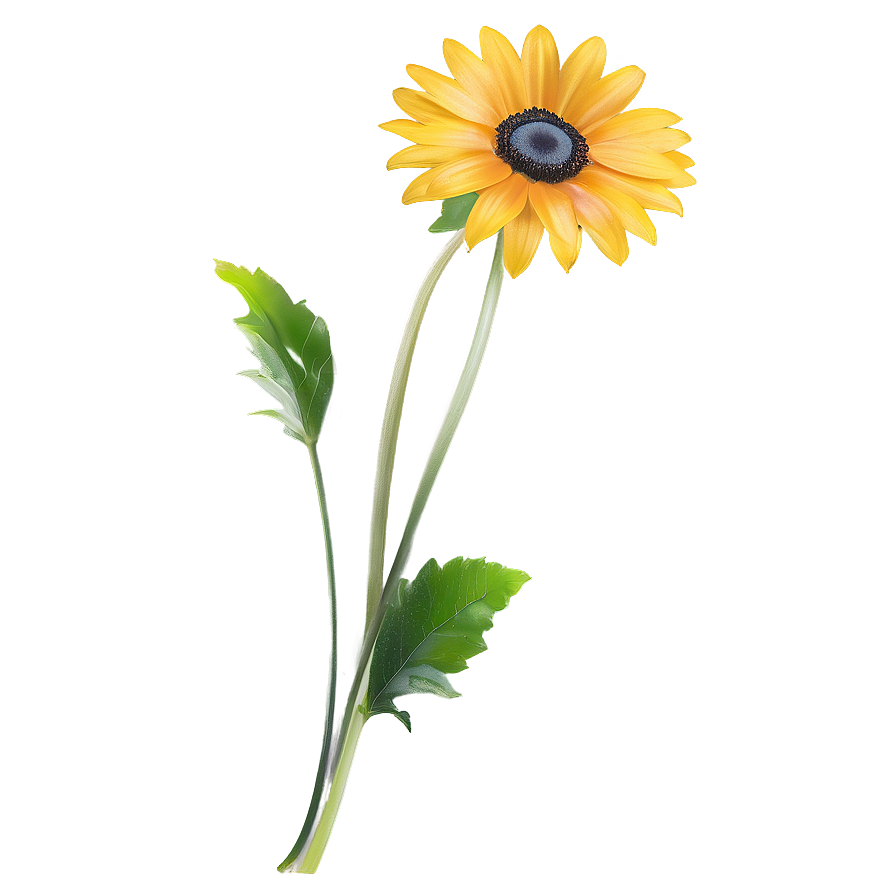 Single Indie Flower Icon Png Wsn