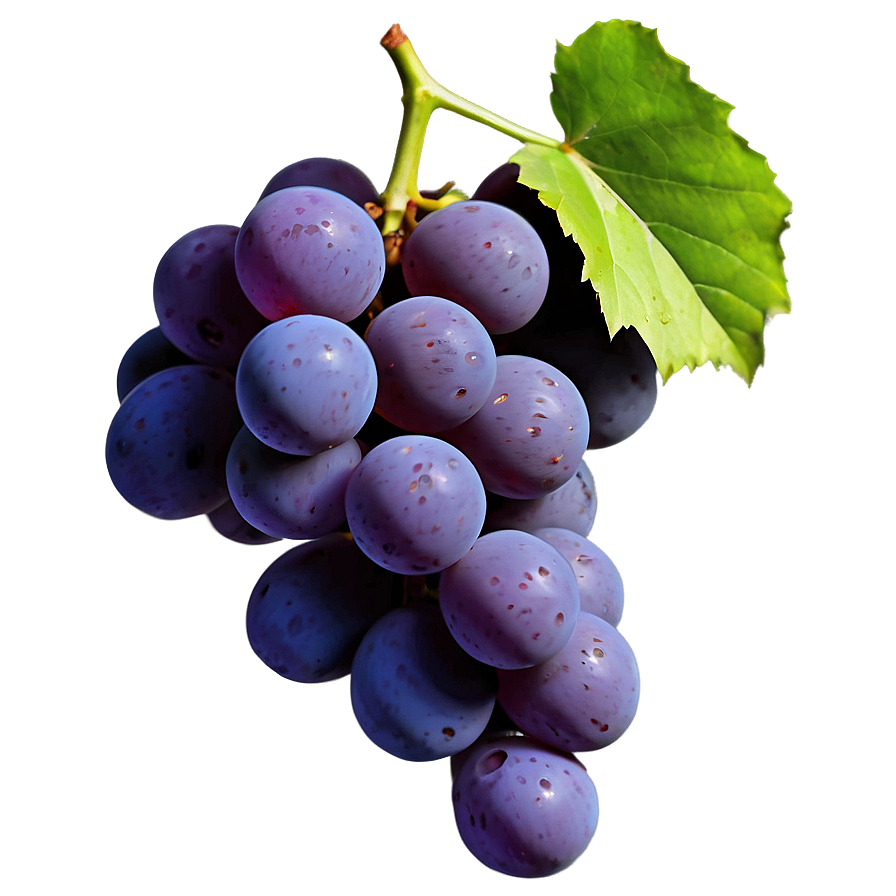 Single Juicy Grape Png 06292024