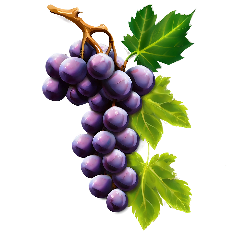 Single Juicy Grape Png 06292024