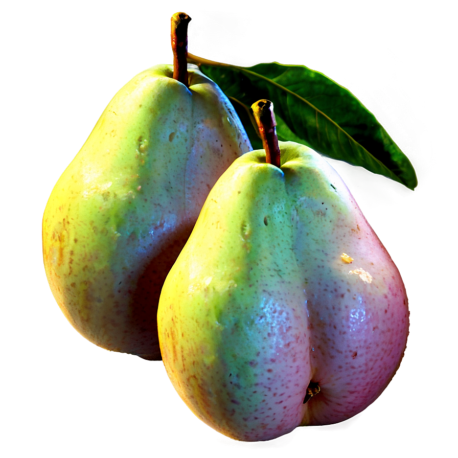 Single Pear Png 75