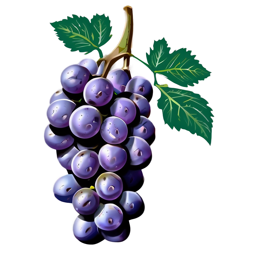 Single Purple Grape Png 06292024