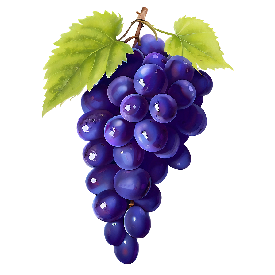 Single Purple Grape Png Mlw