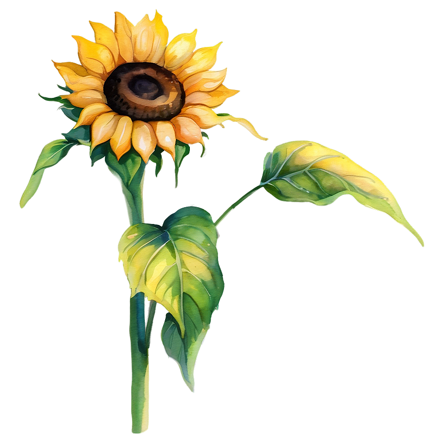 Single Sunflower Watercolor Portrait Png Nhr33