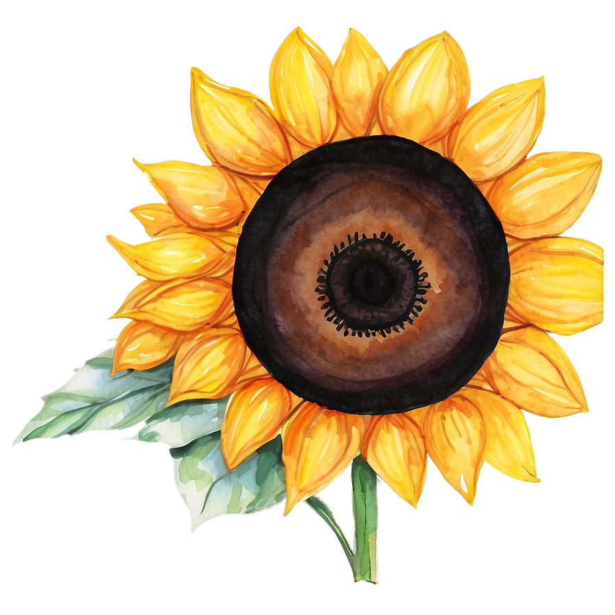 Single Sunflower Watercolor Portrait Png Tmv