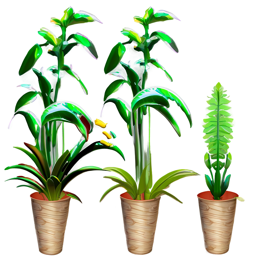 Single Tall Plant Png Xqw82