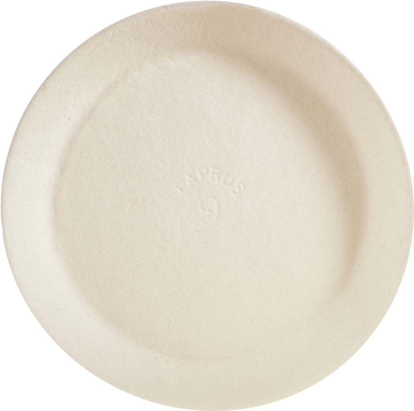 Single Use Paper Plate Top View