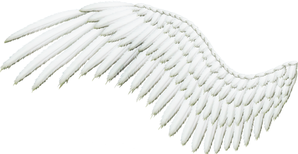 Single White Angel Wing