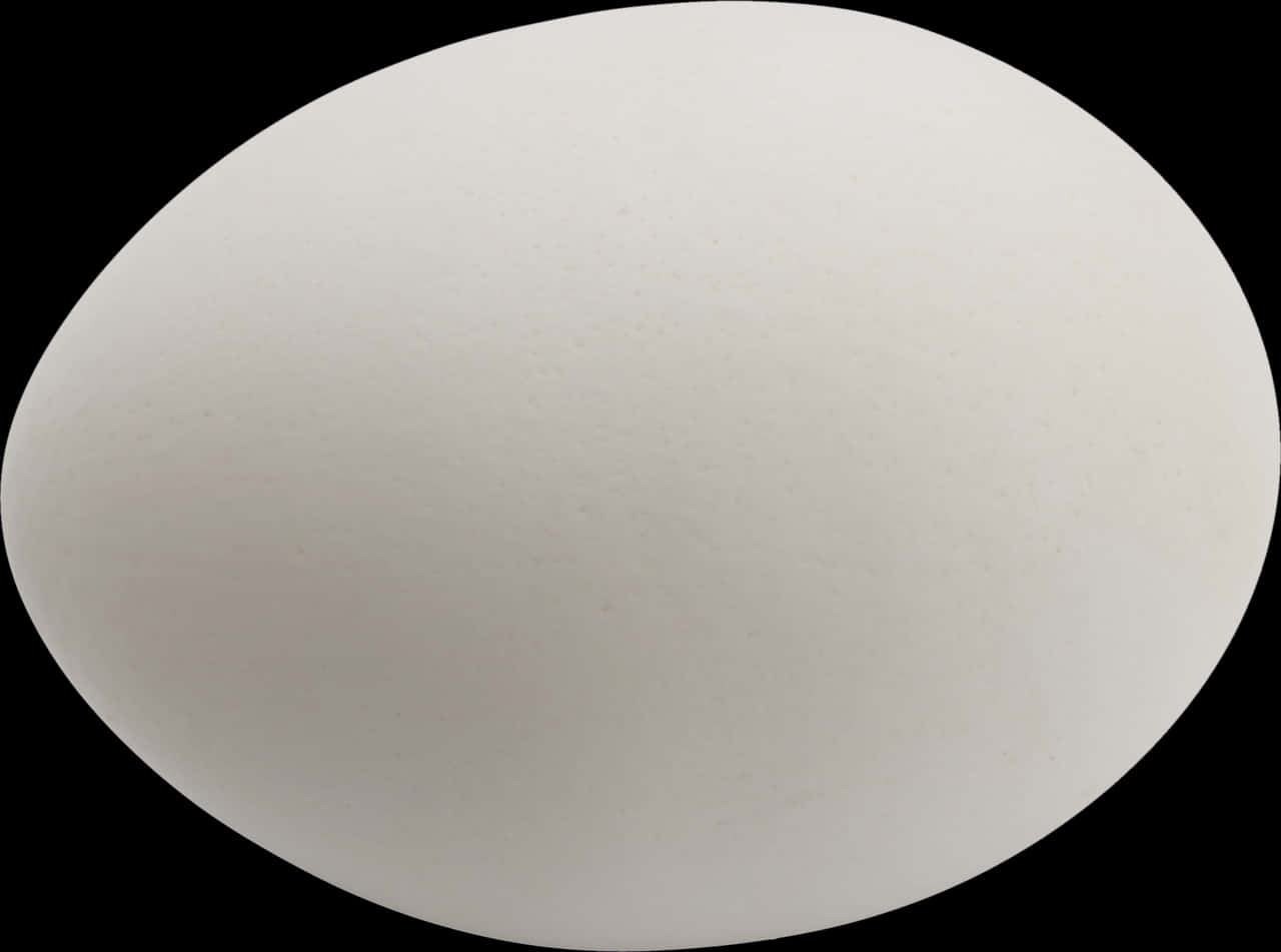 Single White Eggon Black Background.jpg