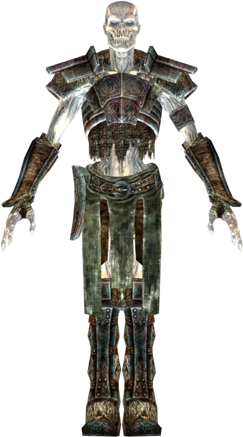 Skyrim Draugr Character