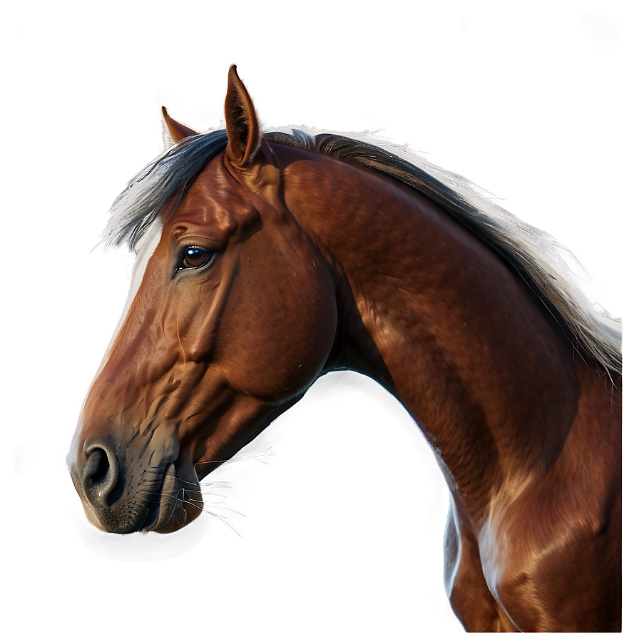 Sleek Horse Head Curvature Png 06122024