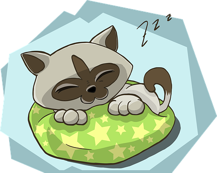 Sleeping Cartoon Kittenon Pillow.jpg