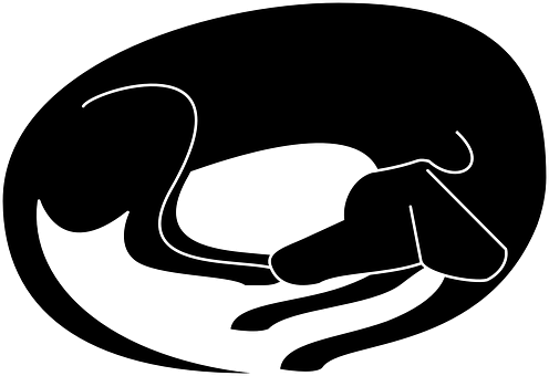 Sleeping Dog Silhouette Outline.jpg