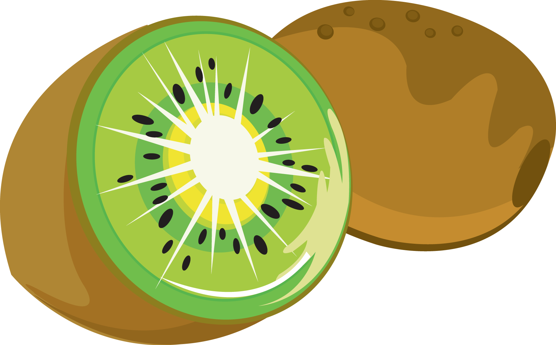 Sliced Kiwi Fruit Illustration