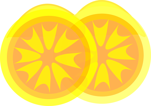 Sliced Lemon Vector Illustration