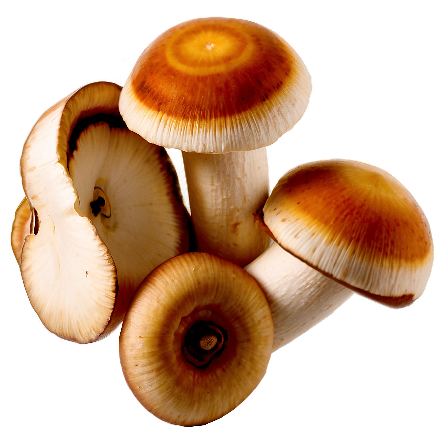 Sliced Mushrooms Png 05242024