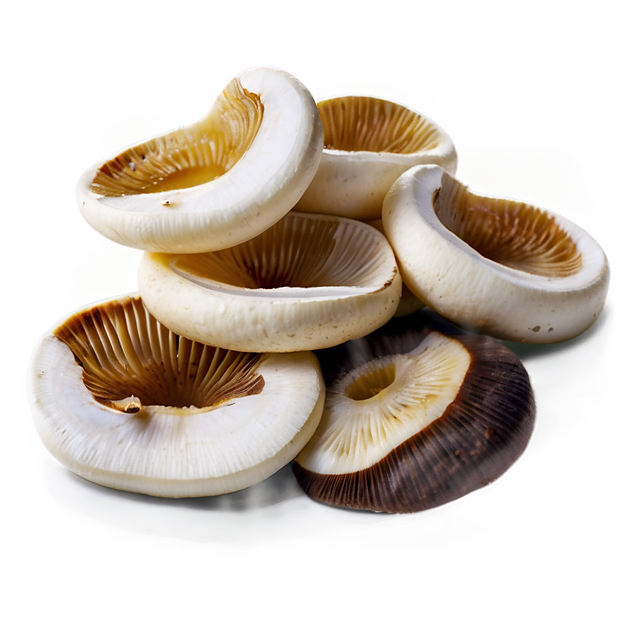 Sliced Mushrooms Png Cum34