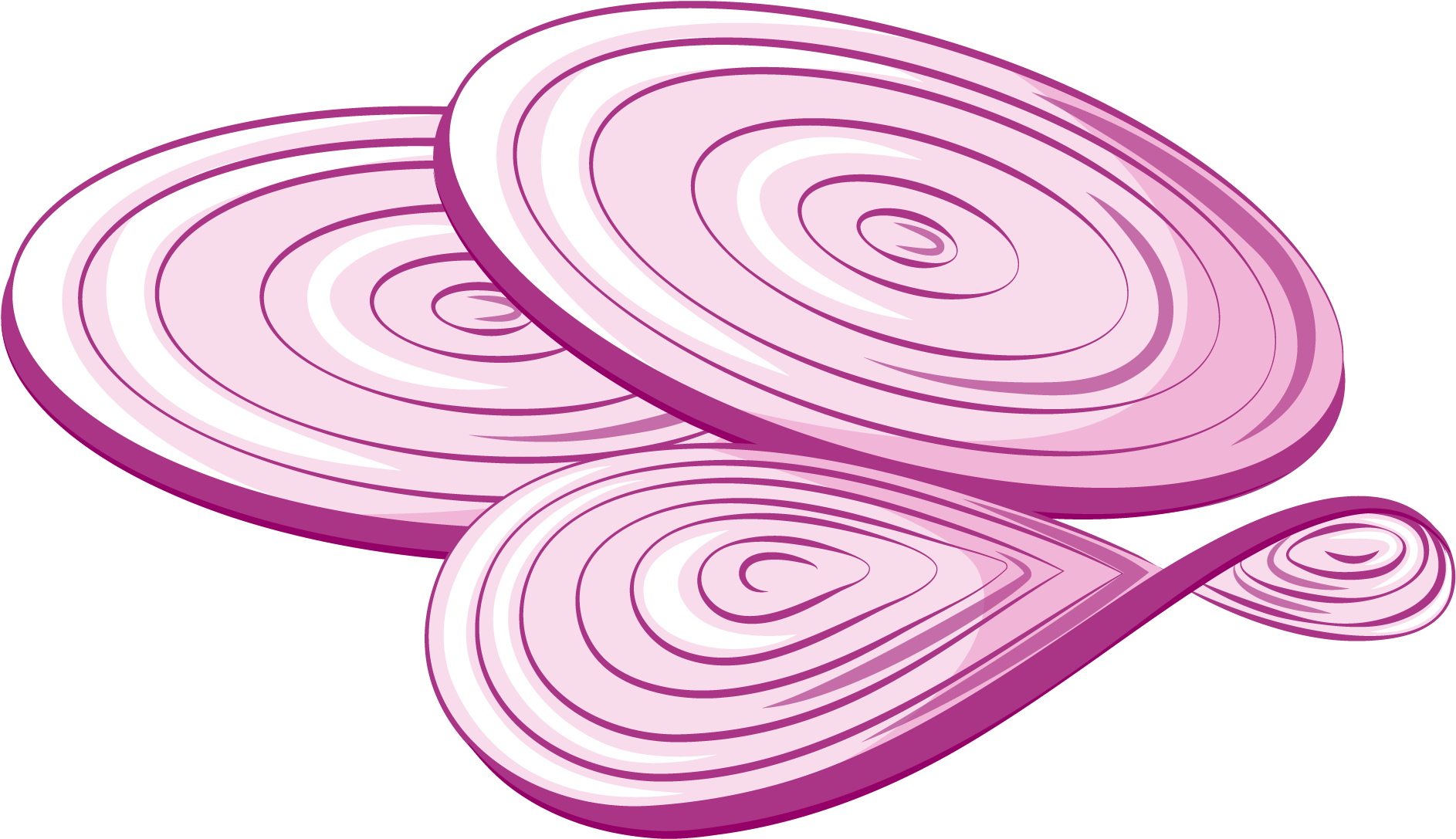 Sliced Onion Illustration