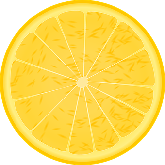 Sliced Orange Illustration