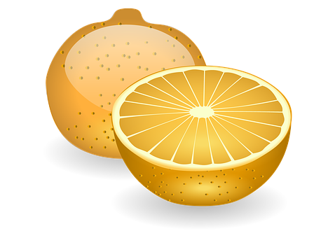 Sliced Orange Illustration