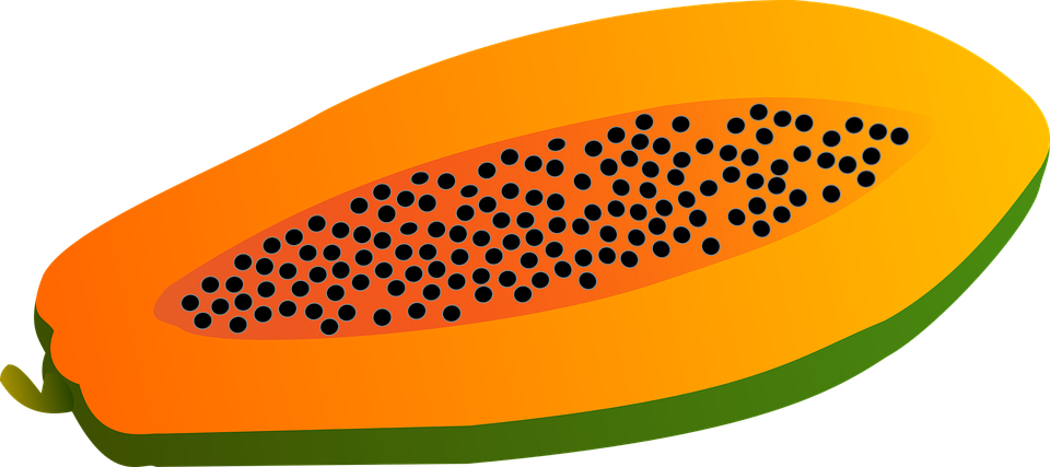 Sliced Papaya Vector Illustration