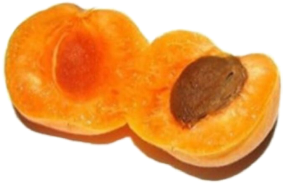 Sliced Peach Halfwith Pit.png