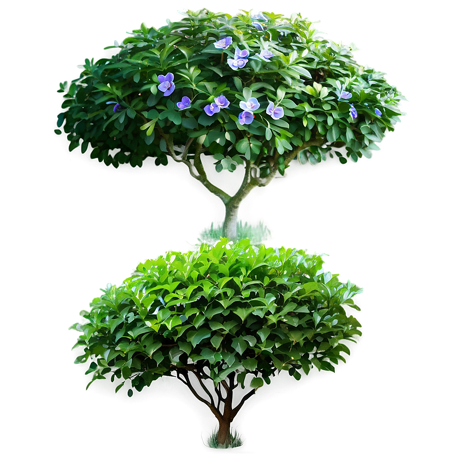 Small Garden Bush Png 05252024