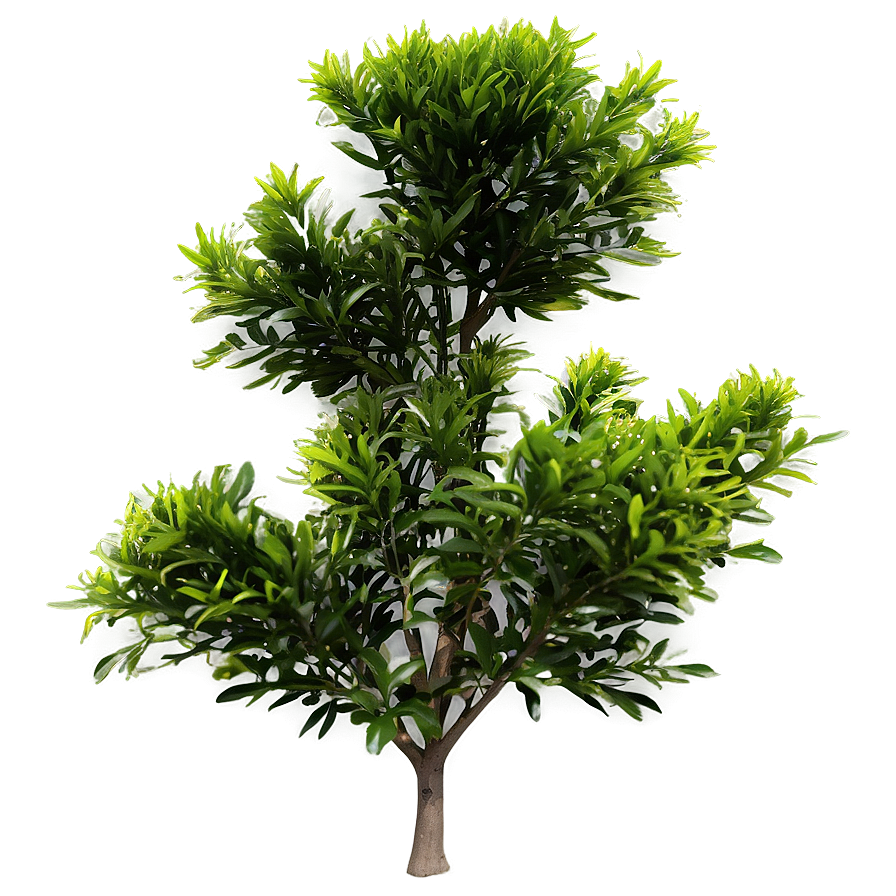 Small Garden Bush Png Vas32