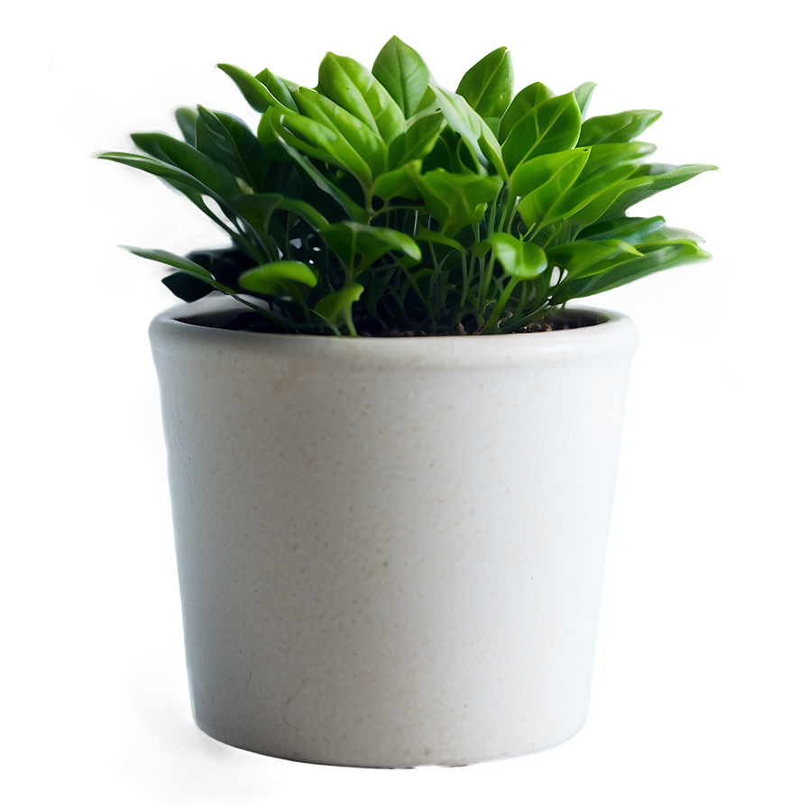 Small Plant In Bright Light Png Xli